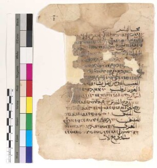 [Scala 11] : Fragm. copt. Makarios Scala 11