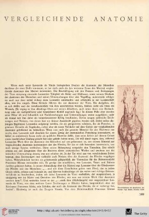 Vergleichende Anatomie