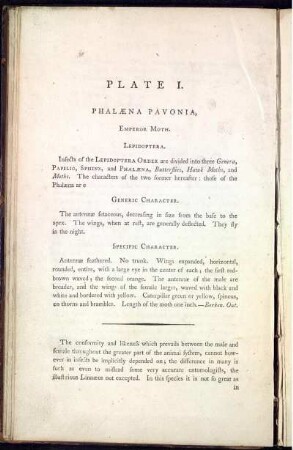 Pl. 1 [bis] Pl. 10 [Pl. siehe arbabische Paginierung]