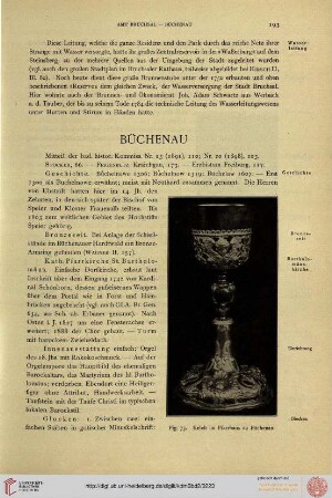 ⟦Büchenau⟧