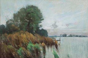 Sommermorgen an der Havel