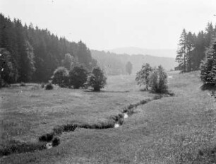 Sebnitz - Schönbach