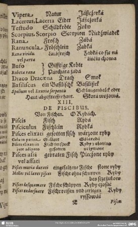 XIII. De Piscibus