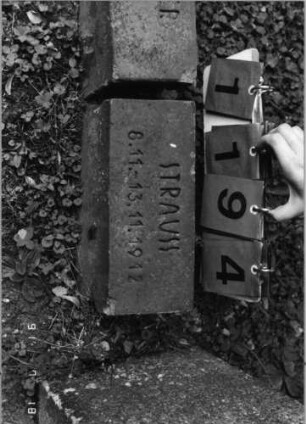 Grabstein 1194 [Hahn S. 247 Grab-Nr. 1532]