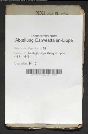 Lippische Vormundschaft und Hausangelegenheiten