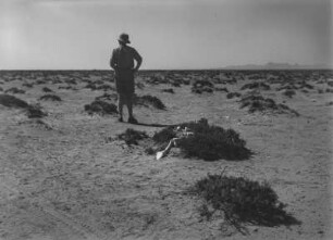 Weite Ebene : Der Geograph Karl Wien (1906-1937) beim Betrachten einer ebenen, nur spärlich bewachsene Landschaft. Im Hintergrund ein Gebirgsmassiv