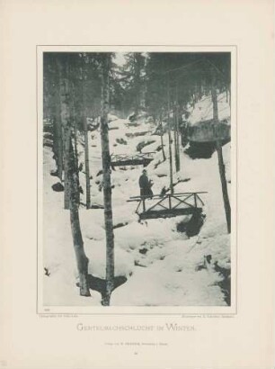 "Gertelbachschlucht im Winter" im Schwarzwald