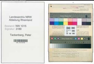 Entnazifizierung Peter Tackenberg , geb. 10.01.1892 (Stadtinspektor)