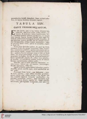 Tabula XXIV. Caput Vigesimumquartum