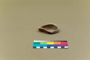 Ring aus Caramuyomuschel