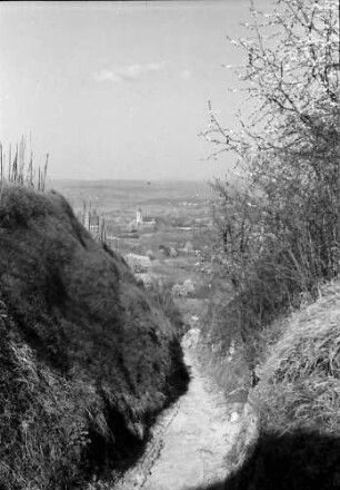 Endingen: Hohlweg zu den Weinbergen, von oben mit Blick auf Peterskirche