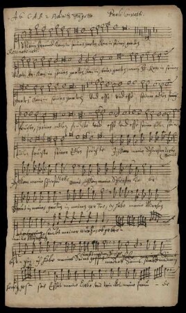 Cantus