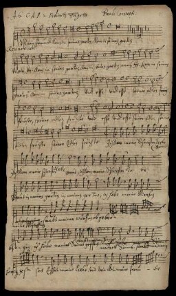 Cantus