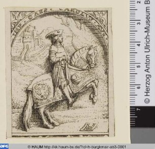 Reiter mit Tunierpferd