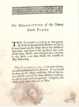The Description of the Ninety Ninth Plate