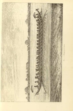 Fig. 1. Pirogue sur le fleuve