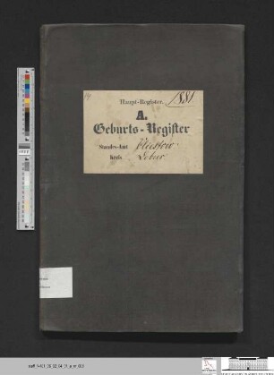 Geburtsregister Kliestow 1881