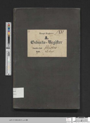 Geburtsregister Kliestow 1881