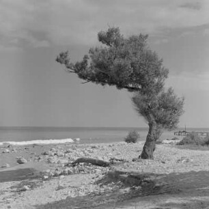 Strand am Schwarzen Meer