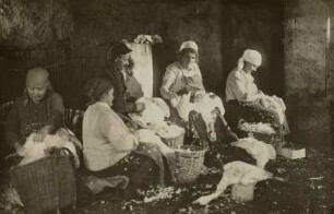 Steinach/Erzgebirge, Frauen beim Gänserupfen