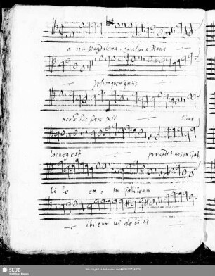 76 Iacobus Gallus: Maria Magdalena et altera Maria