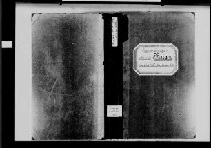 Bargen, evangelische und katholische Gemeinde: Standesbuch 1866-1870