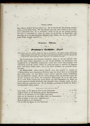 [Abbildungsbeschreibungen zu Taf. 1 - Taf. 6]