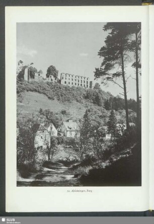 Altleiningen, Burg
