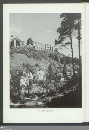 Altleiningen, Burg