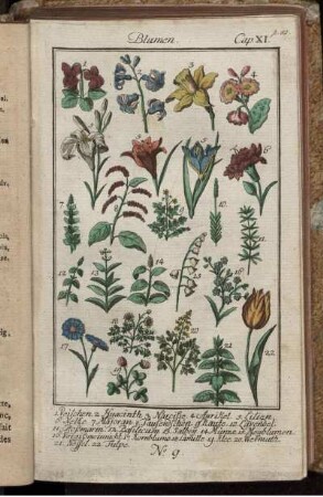 Blumen