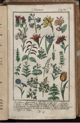 Blumen