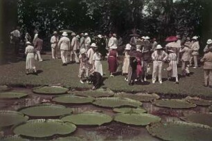 Belém (Pará), Museu Emilio Goeldi, Touristen am Seerosenteich (Victoria regia) im Zoologisch-botanischen Garten : Reisefotos Brasilien. Belém (Pará). Museu Emilio Goeldi. Zoologisch-botanischen Garten. Touristen am Seerosenteich (Victoria regia)