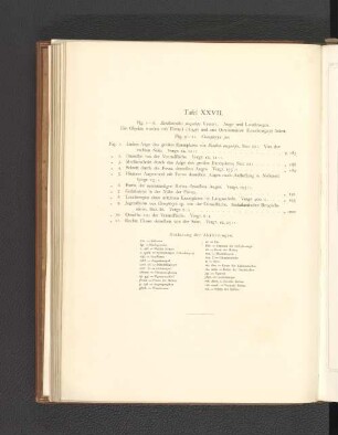 Tafel XXVII.