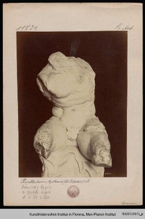 Torso von Belvedere