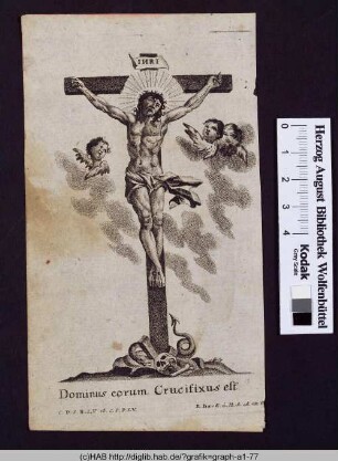 Dominus eorum Crucifixus est.