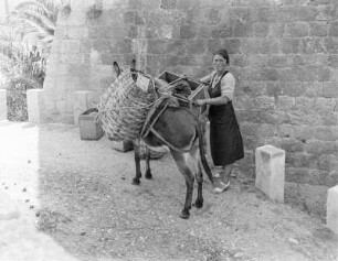 Dubrovnik, Frau mit Packesel