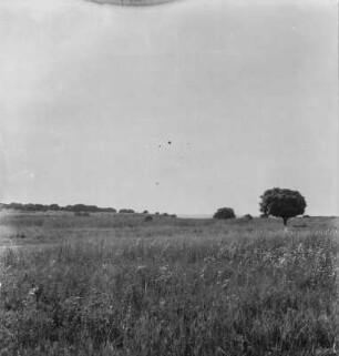 Feld : Blick über ein bebautes Feld nahe Ujiji