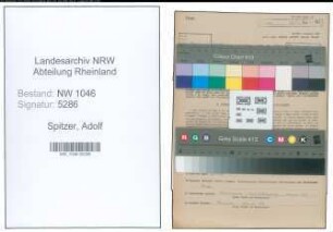 Entnazifizierung Adolf Spitzer , geb. 03.03.1897 (Lehrer)