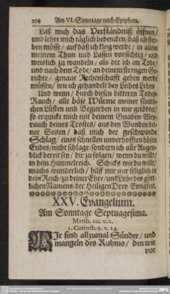 XXV. Evangelium. Am Sonntage Septuagesima