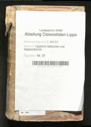 Salbuch der Vogtei Detmold von 1721, Bd. 2