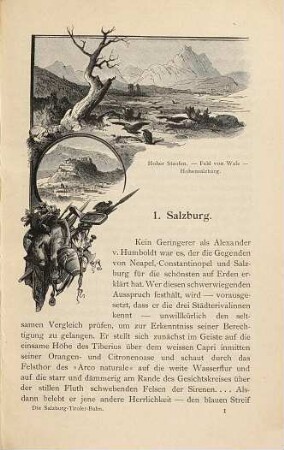 Unterwegs : Schilderungen und Naturansichten von den beliebtesten Reisewegen, 2. Die Salzburg-Tirolerbahn