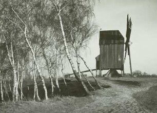 Riesa-Weida, Bockwindmühle und Birkengruppe