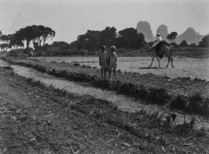 Taka-Berge : Landwirtschaftliche Anbaufläche nahe der Taka-Berge bei Kassala