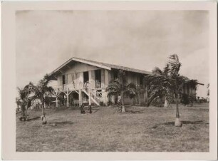 Fazenda (Film: "Urwelt im Urwald")