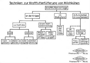 Techniken zur Kraftfutterfütterung von Milchkühen
