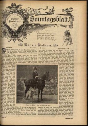 Ausgabe vom Sonntag, den 24. November 1895.