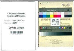 Entnazifizierung Wilhelm Schmitz, geb. 03.10.1908 (Verw.Beamter)