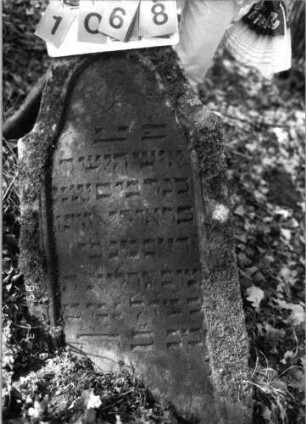 Grabstein 1068 (Index: 99753339) Material: Sandstein Zustand: leicht verwitt/Stele nach hinten gekippt Maße HxBxT: 102x54x10 cm Beschreibung: Stele, eingezogener Rundbogenabschluß, Schriftfeld eingetieft Symbolik: Blume: Grabstein 1068