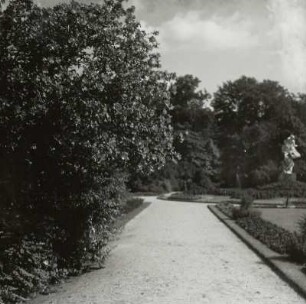 Dresden. Großer Garten. Rhododendrenhain