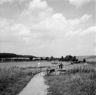 Wanderweg am Herrenteich: in Höhe Herrenhusen: Holzbrücke mit Geländer: rechts daneben alte Bohlenbrücke, mit Kette gesperrt: Schild: Teichufer stark zugewachsen, Schilf: Paar auf Weg: Wiesen, Weiden, Zaun: im Hintergrund links Westufer